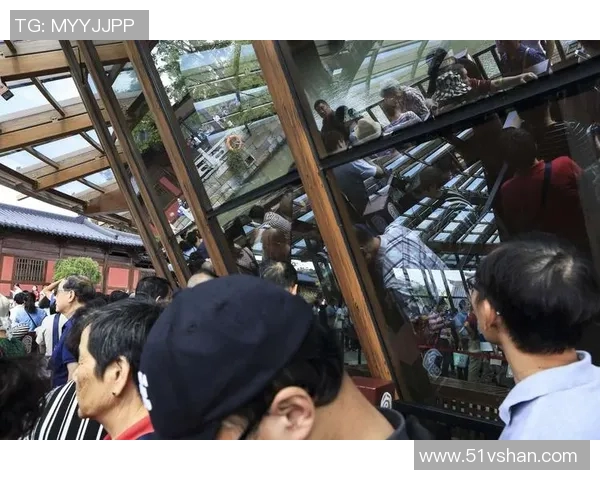 苏维埃与莫路军的对抗与较量：历史的回顾与未来的启示