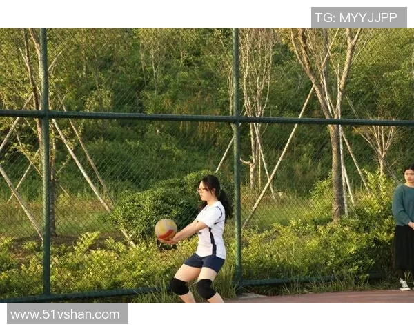 陈丽专访：揭秘排球界的成功秘诀与背后故事