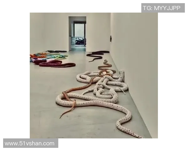 加莱诺的艺术魅力与文化影响力探讨：从创作到当代艺术的启示